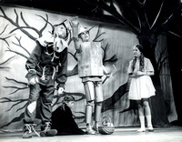 Wizard of Oz  - 1973